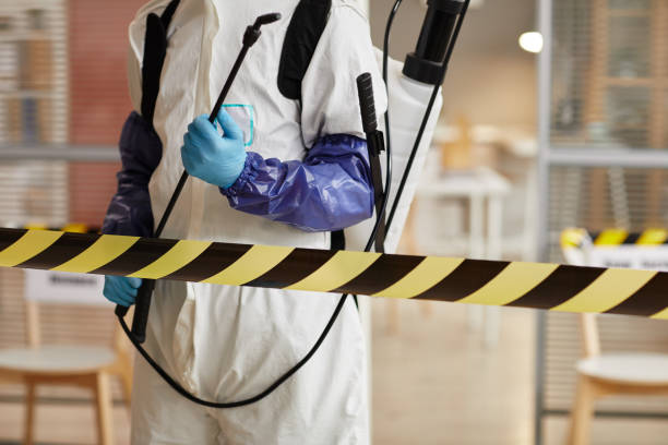 Professional Sewage Cleanup technician working in Martell, NE